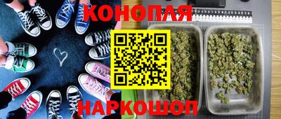 стаф Бузулук