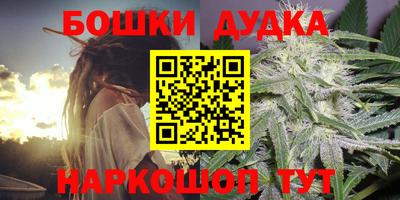 стаф Бузулук